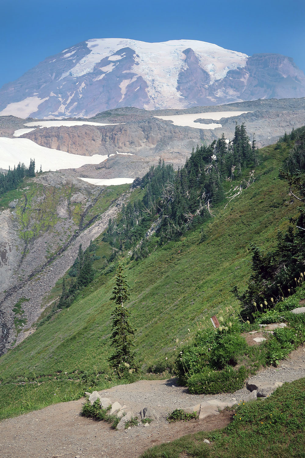 A typical high-quality trail through the meadows above Paradise on the southern slopes of Mt Rainier. Short and safe partial-day hikes take advantage of amazing views like this.