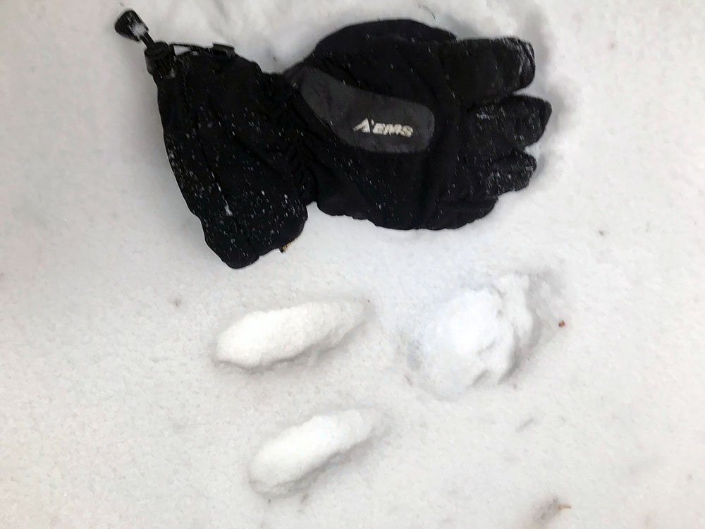 Tracks from a snowshoe hare en route to Dial and Nippletop.
