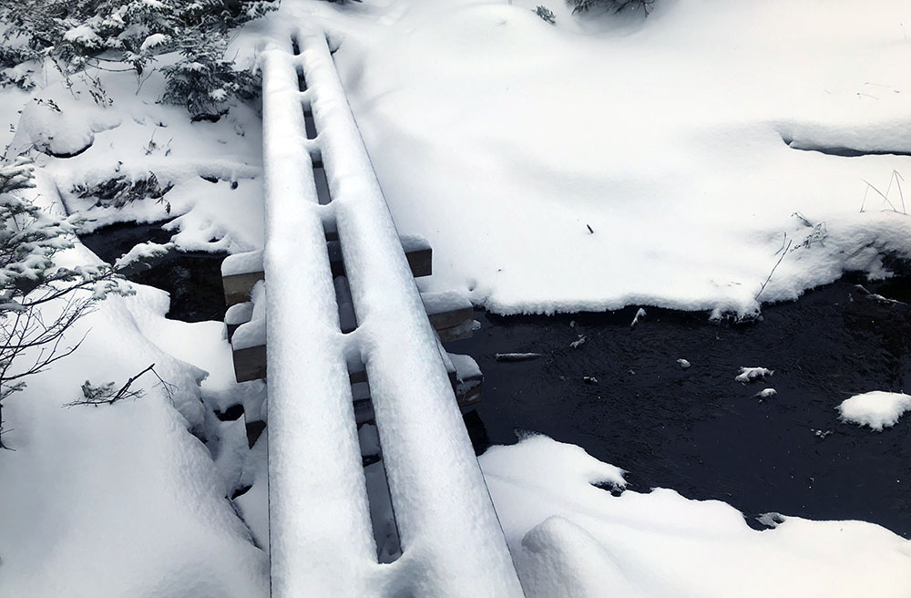 Snow blankets some helpful puncheon across a stream through Elk Pass.