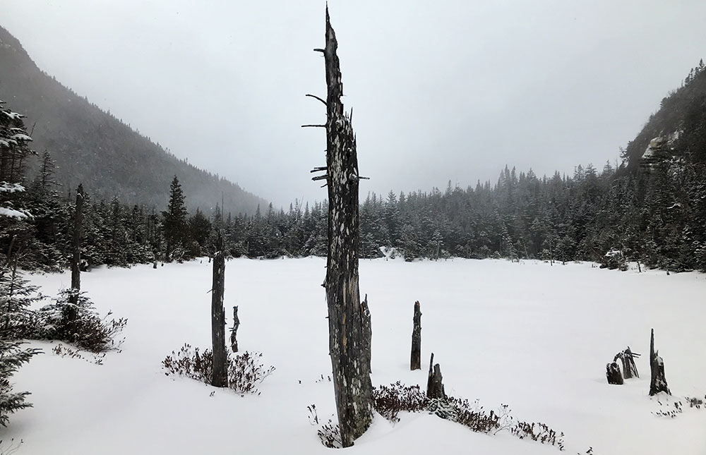 A misty, snowy silence fills Elk Pass on a weekday afternoon in December.