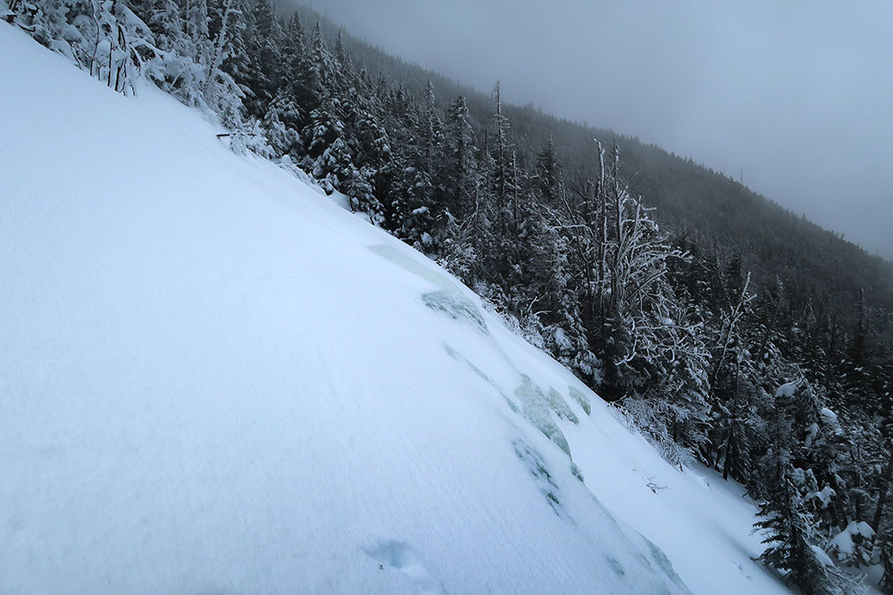 Looking south along a ridgeline of Allen Mountain.