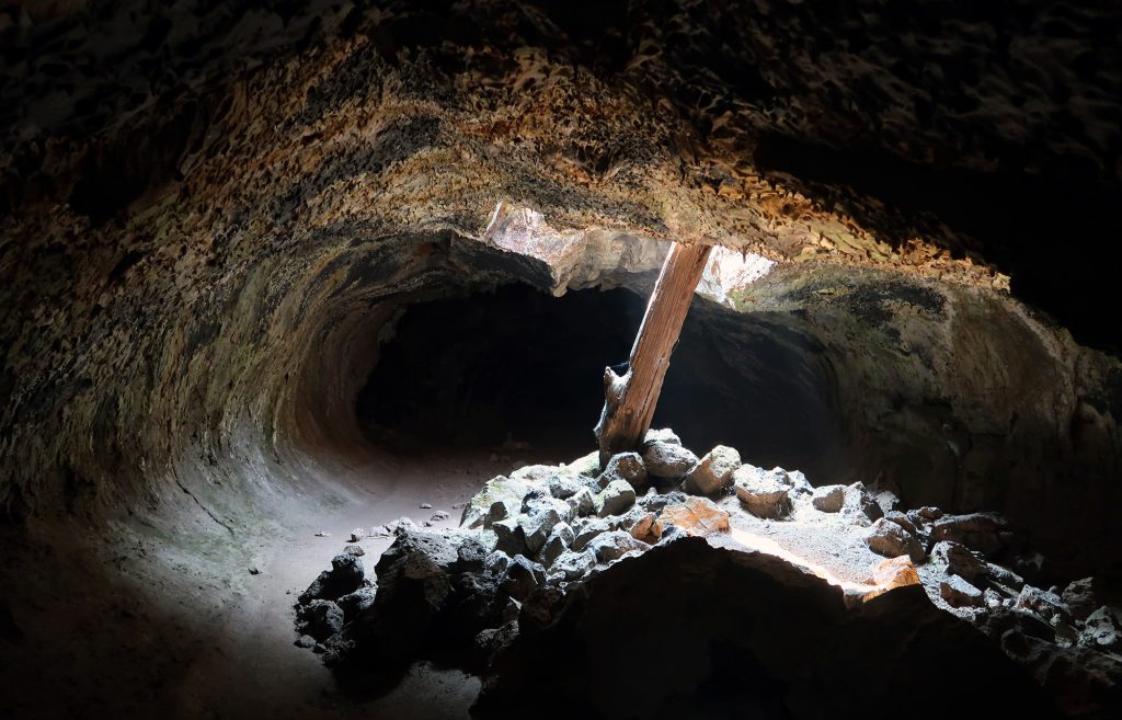 Light floods through a collapsed ceiling in a large lava tube cave at Lava Beds National Monument.