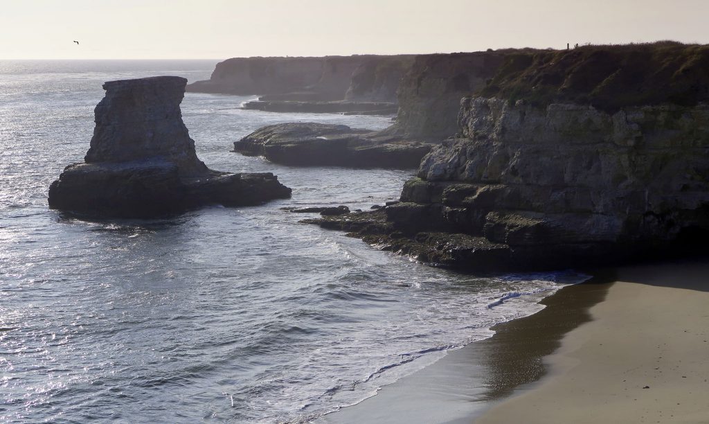 Ohlone Bluff's rugged coastline.