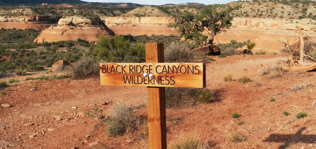 The 7+ mile journey to Rattlesnake Arches runs through the gorgeous Black Ridge Canyons Wilderness.