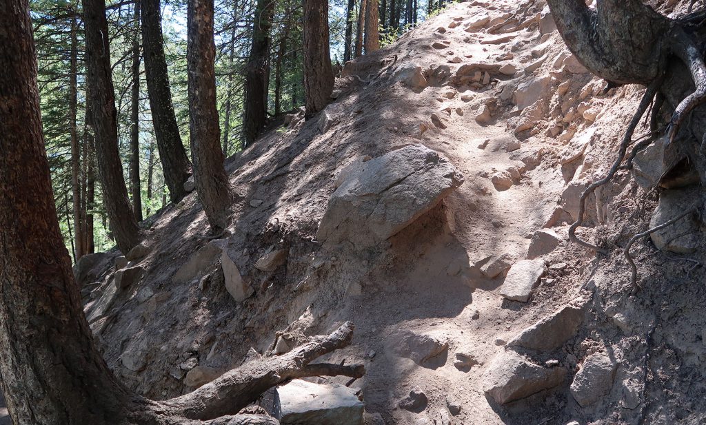 The Ute trail starts with a steep set of switchbacks through pine forests to Ute Rock.