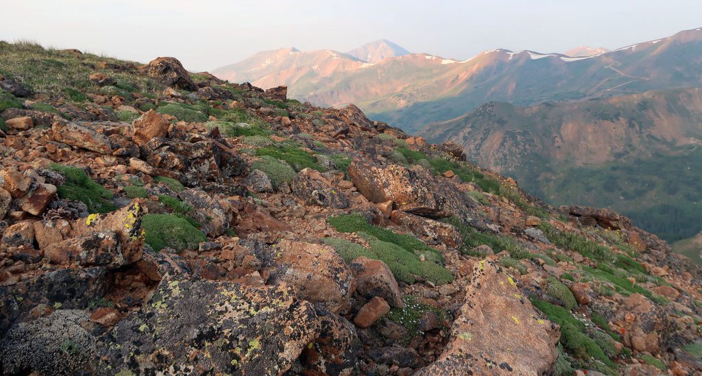 Sunrise views en route to Vasquez Peak.