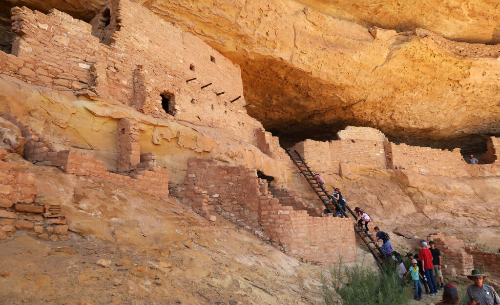 Visitors ascend wooden latters into Long House, Mesa Verde's second-largest cliff dwelling.