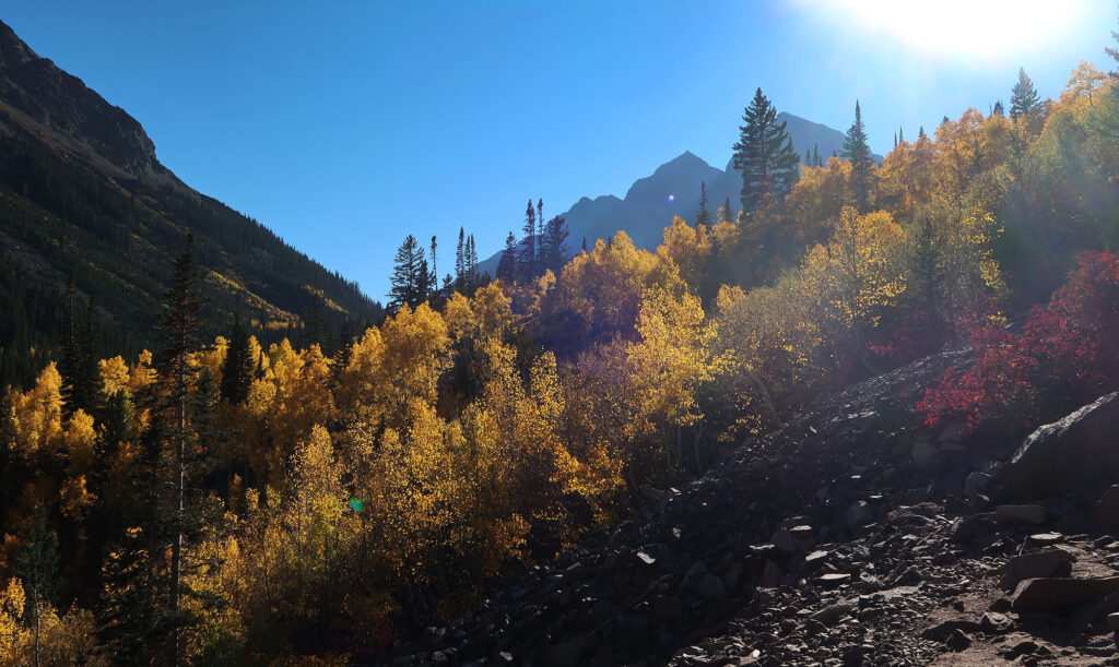 The Deadly Bells poking their heads above the aspens.